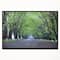 Designart - Arched Trees Over Country Road - Landscape Photography Canvas Print in Black Frame